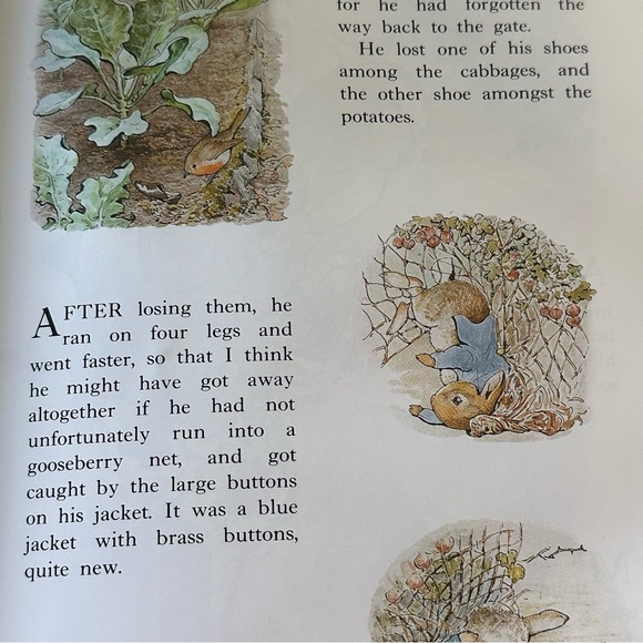 🐰 The Complete Adventures of Peter Rabbit Beatrix Potter Hardcover Book - Picture 6 of 16